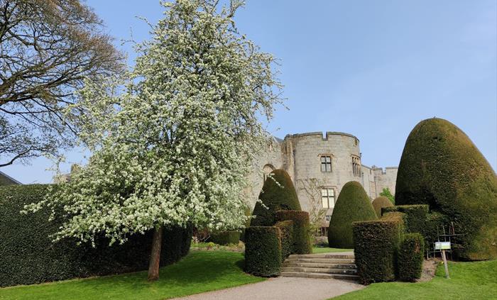 Chirk Castle from the gardens showing a tree covered in blossom in the foreground